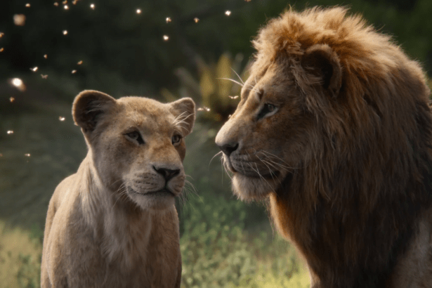 The Lion KIng