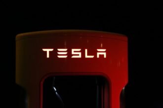 Tesla Electric Vehicles Market