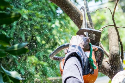 Marketing a Seasonal Business: Strategies from a Tree Trimming Expert