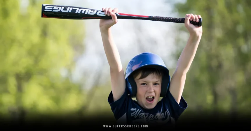 Best USA Bats for 2025