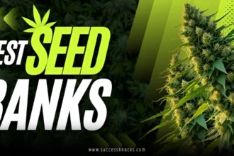Top 10 Best Seed Banks in the USA
