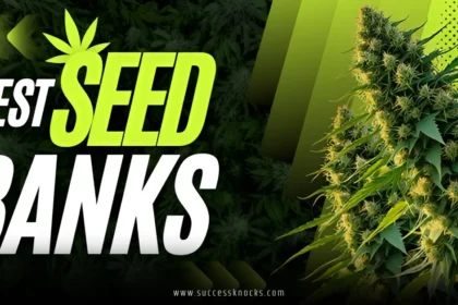 Top 10 Best Seed Banks in the USA