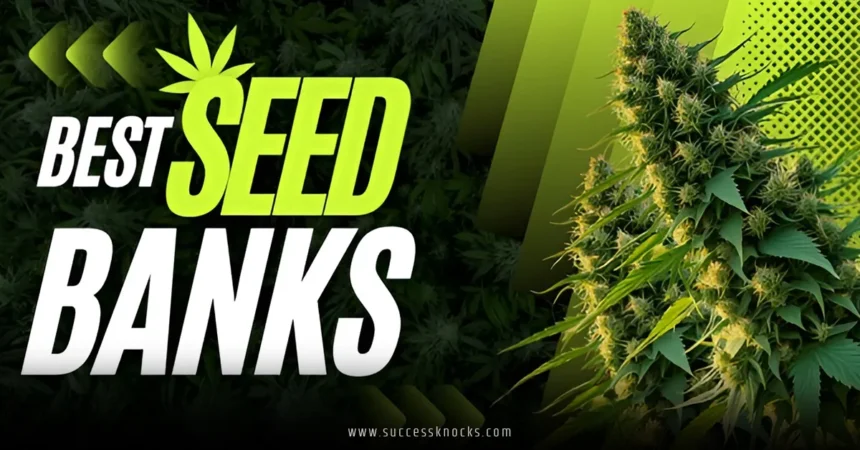 Top 10 Best Seed Banks in the USA