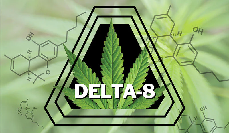 Top 4 Trusted Delta 8 Edible Brands in the US